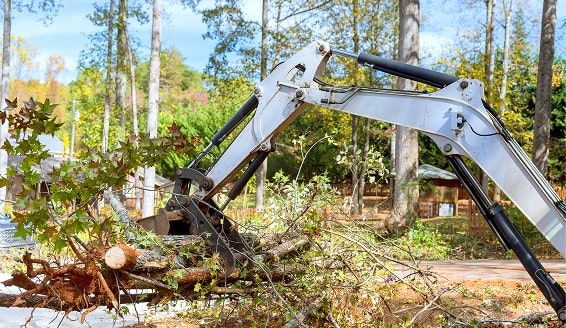 An excavator arm is clearing trees and branches from a wooded area.